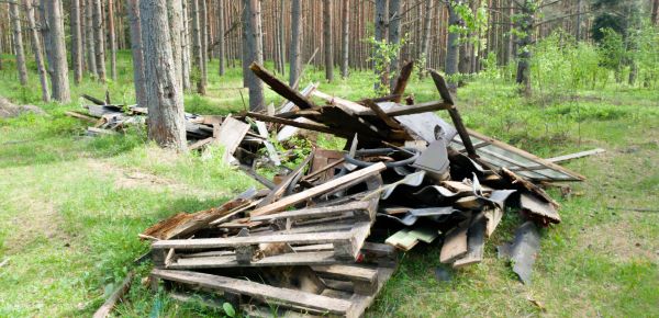 Debris Removal Service in Carlisle