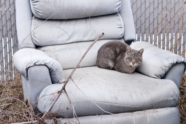 Recliner Disposal in Carlisle