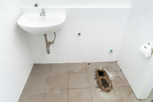 Toilet Disposal in Carlisle